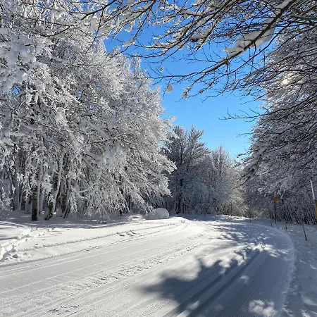 Les Ecureuils * Xonrupt-Longemer