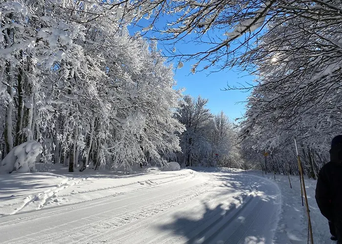 Les Ecureuils * Xonrupt-Longemer
